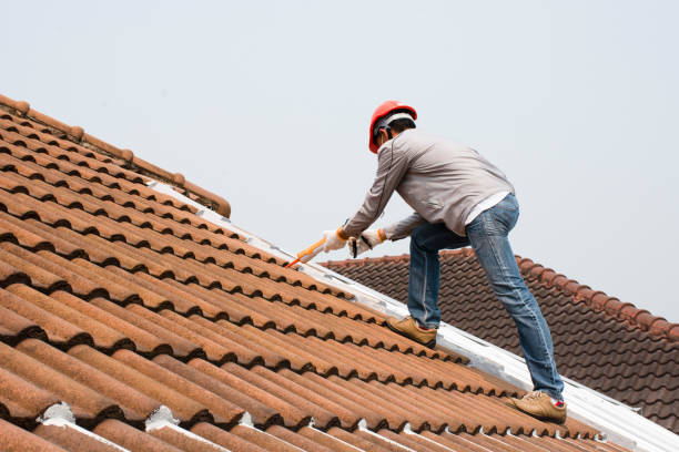 Best Roof Inspection  in Clarkesville, GA